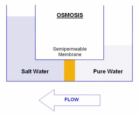 what-is-nanofiltration-osmosis.jpg